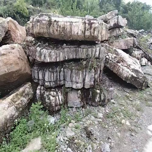 灰黑龟纹石