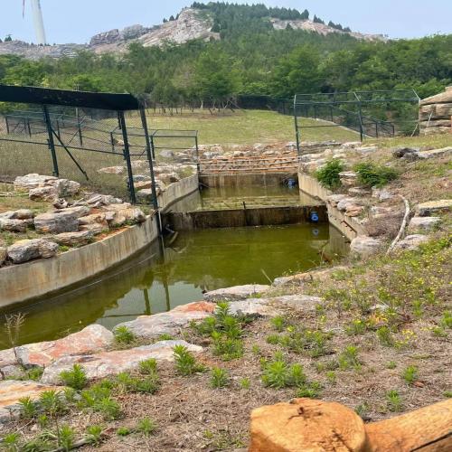 河道驳岸挡土