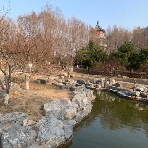 河道驳岸挡土