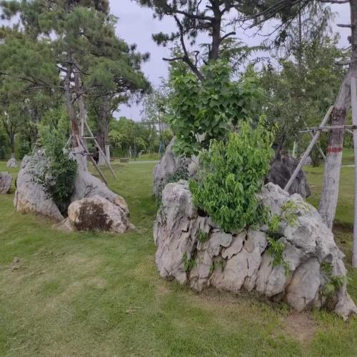 园林点景石