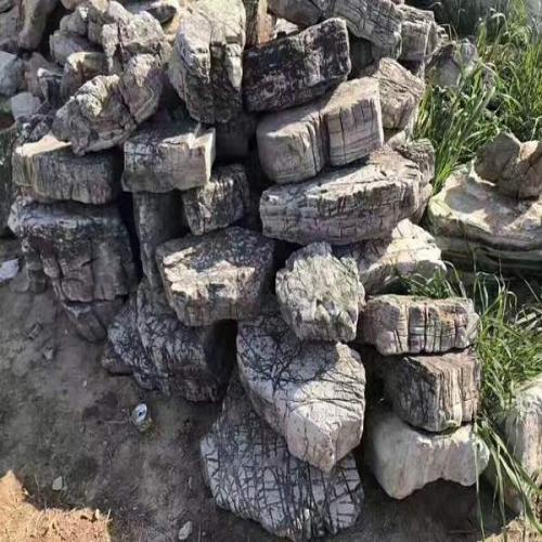 龟纹石直供