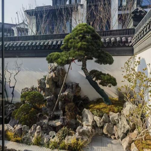 工程案例